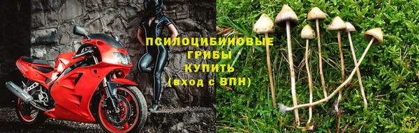 гидропоника Армянск