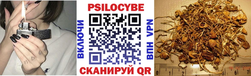 Галлюциногенные грибы ЛСД  Колпашево 